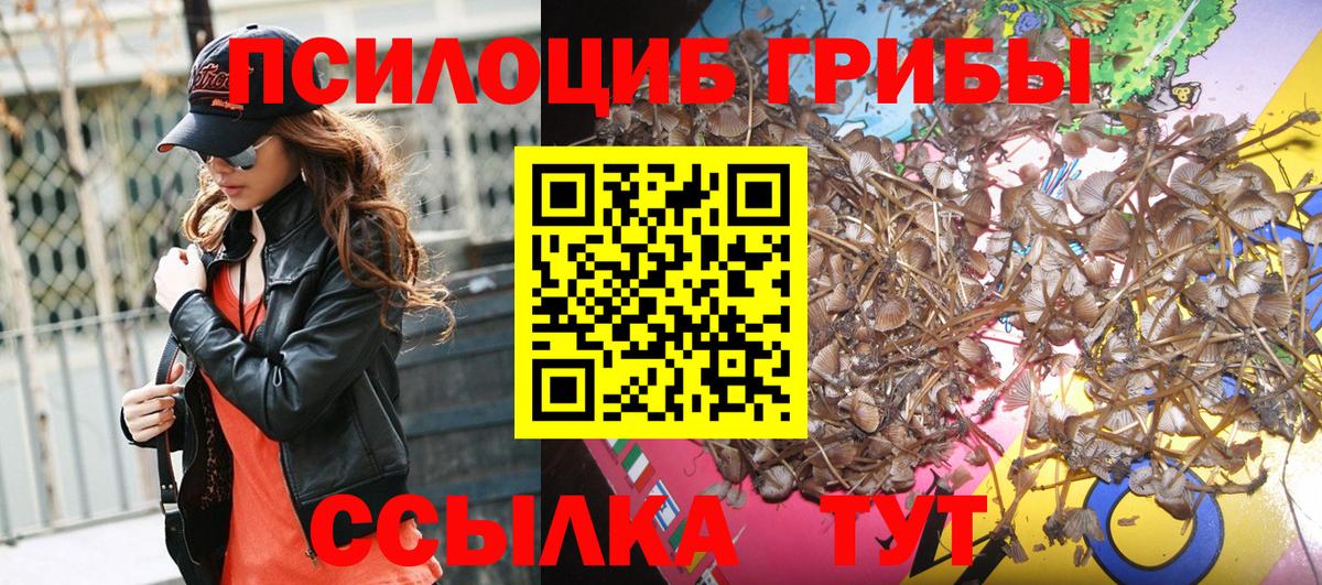 Псилоцибиновые грибы прущие грибы Туймазы