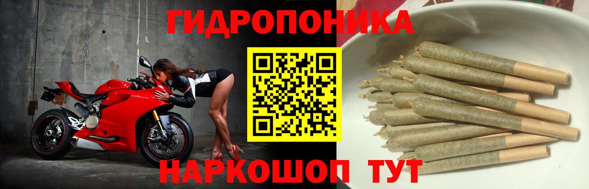 Бошки марихуана конопля Туймазы